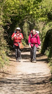 camino trail - Sarria to Santiago.jpg